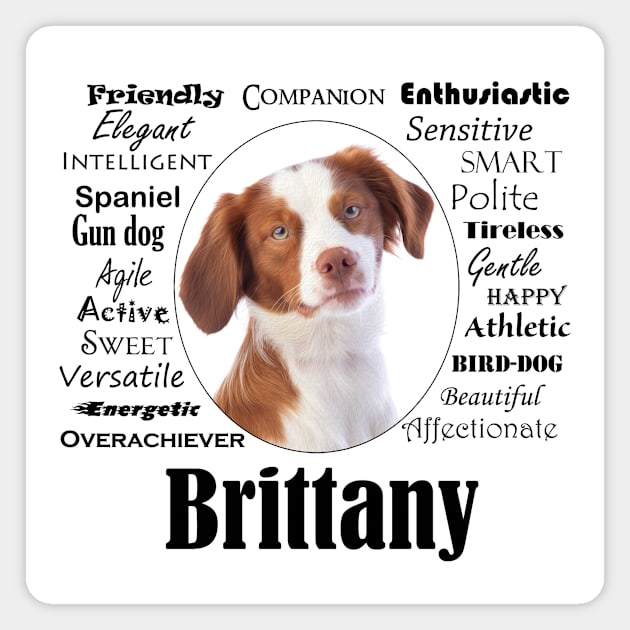 Brittany Traits Magnet by You Had Me At Woof